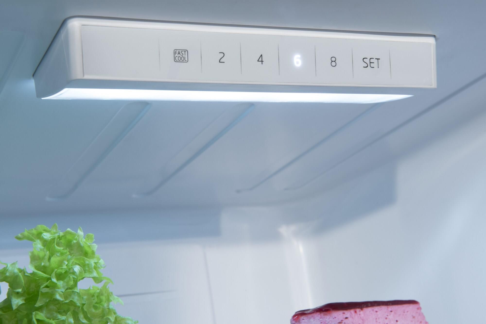 Amica FK2695.4FTHAA - zdjęcie 2 Amica FK2695.4FTHAA