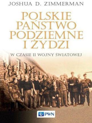 Polskie Państwo Podziemne i Żydzi - Joshua D. Zimmerman, Martyna Rusiniak-Karwat (EPUB)