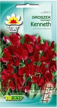 Zdjęcie Toraf Groszek Pachnący Kenneth 3G - Głowno