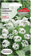 Zdjęcie Torseed Czosnek Niedźwiedzi 0,5G - Biała Podlaska