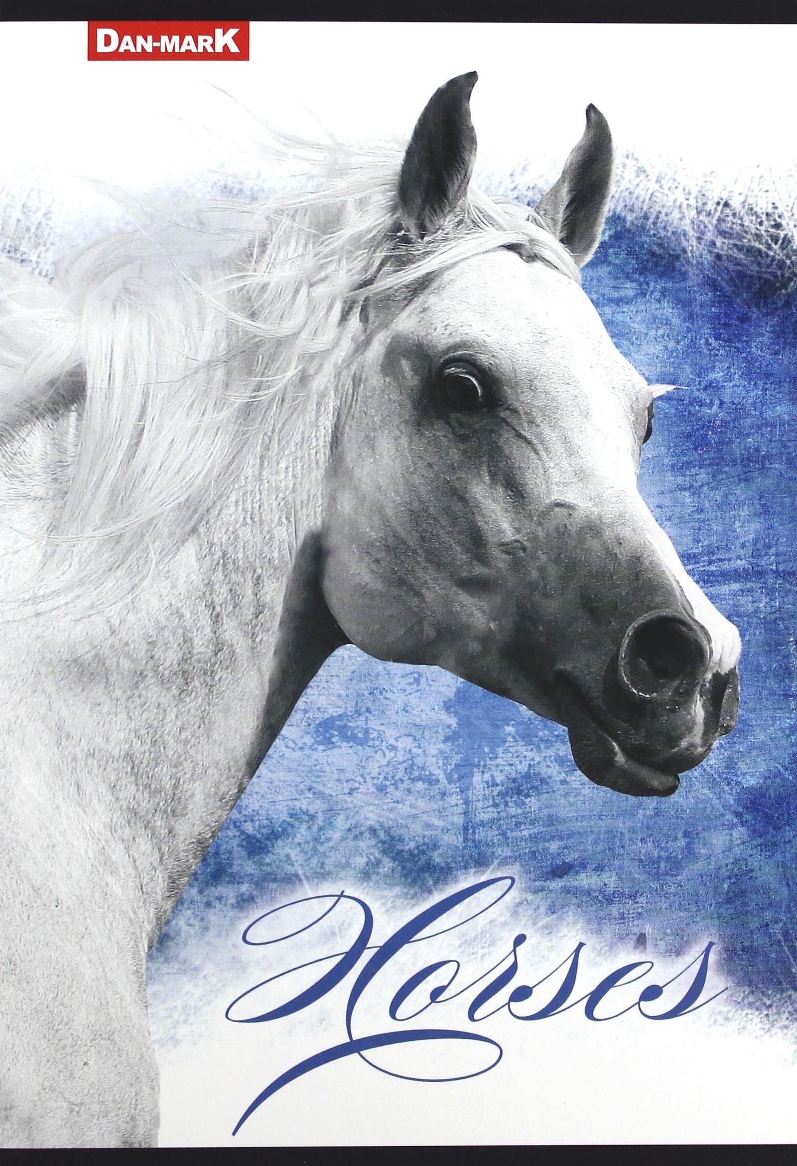 i-zeszyt-a5-60k-br-linia-10szt