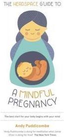 Headspace Guide to...a Mindful Pregnancy (Puddicombe Andy)