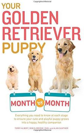 Terry Albert Your Golden Retriever Puppy Month by