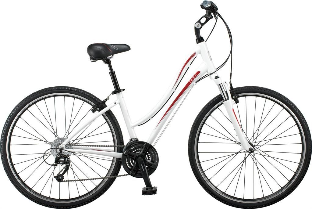 Giant Cypress W Rowery Miejskie Damskie Ceny i opinie Ceneo.pl