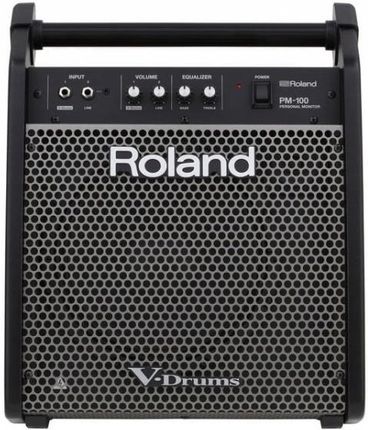 Kolumna Combo Roland PM-100