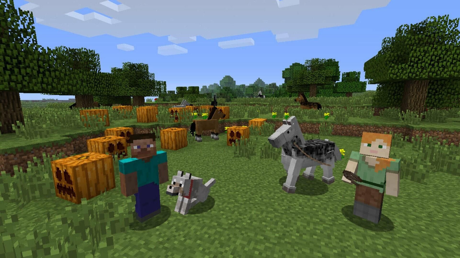 Minecraft: Nintendo Switch Edition (Gra NS)