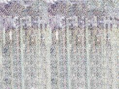 Zdjęcie Kurtyna Holograficzna 250 x 90cm - Rabka-Zdrój