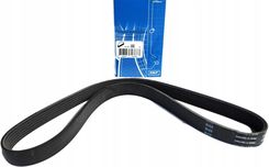 Zdjęcie SKF Pasek klinowy wielorowkowy VKMV 6PK1210 - Skała
