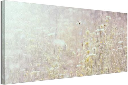Łąka Kwiaty Lato Obraz Na Płótnie 100X50 Cm