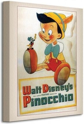 Pinokio Sumienie Obraz Na Płótnie 30X40 Cm