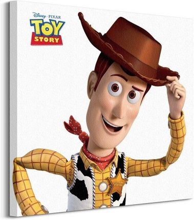 Toy Story Woody Obraz Na Płótnie 60X60 Cm