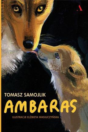 Ambaras - Tomasz Samojlik (MOBI)
