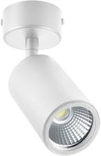 Zdjęcie Spot Tori 20016-WH Zuma Line nowoczesna designerska oprawa sufitowa - Tomaszów Lubelski