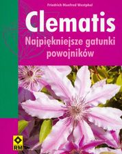 Zdjęcie Clematis najpiękniejsze gatunki powojników - Orneta