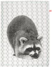 Zdjęcie Pt Living Ścierka Kuchenna Racoon 50X70 Cm (pt3209) - Żmigród
