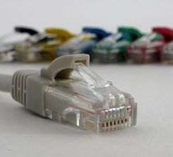 Netrack patchcord RJ45, osłonka zalewana, kat. 5e UTP, 20m niebieski