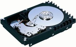 HITACHI 73GB GST Ultrastar 146Z10 - Ultra320 SCSI 80-pin 10000-obr (IC35L073UCDY10-0)