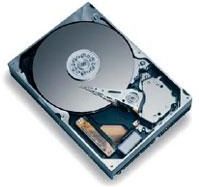 MAXTOR 160GB DiamondMax Plus 9 - ata133, 8MB, 7200obr (6Y160P0)