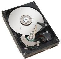 Seagate Barracuda 7200.7 340014A, 40 GB, Ultra ATA/100, 7200 RPM, 2MB cache (ST340014A)