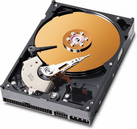 WD 1600JB 160GB ATA100 7200rpm 8MB (WD1600JB)