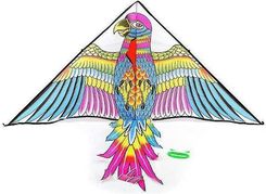 Zdjęcie Adar Latawiec Ptak (3/208612) - Ciężkowice