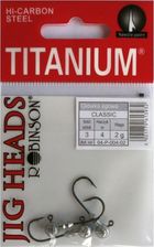 Zdjęcie Robinson Główki Jigowe Titanium r 2/0, 10g 3szt (04p02010) - Puszczykowo