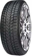 Gripmax Status Pro Winter 265/40R21 105V