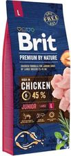 Brit Premium By Nature Junior Large 15Kg
