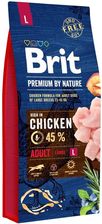 Brit Premium By Nature Adult Large 15Kg