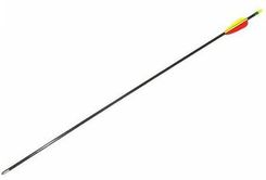 Zdjęcie Poe Lang Strzała Z Włókna Szklanego 28" Czarna (D055) - Pyskowice