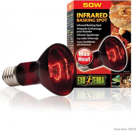 Exo Terra Żarówka Grzewcza Podczerwień Infrared Basking Spot Lamp R20 50W Pt2141