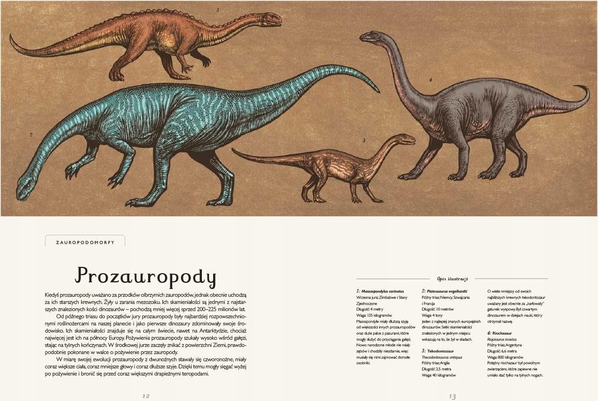 Dinozaurium. Muzeum Dinozaurów