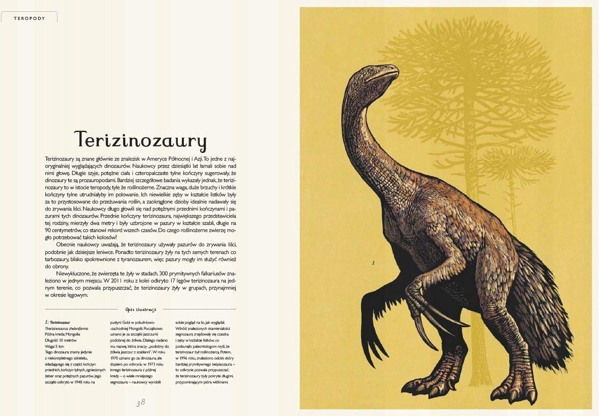 Dinozaurium. Muzeum Dinozaurów - zdjęcie 3 Dinozaurium. Muzeum Dinozaurów