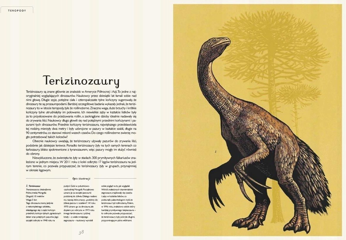 Dinozaurium. Muzeum Dinozaurów