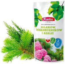 Fructus Do Iglaków Różaneczników I AzalII 250G Fosfan