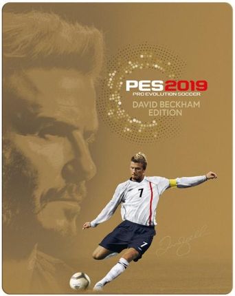 Pro Evolution Soccer 2019 David Beckham Edition (Gra PS4)