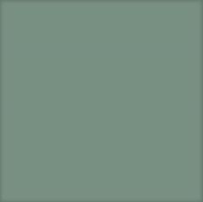 Codicer Basic Kale 25x25