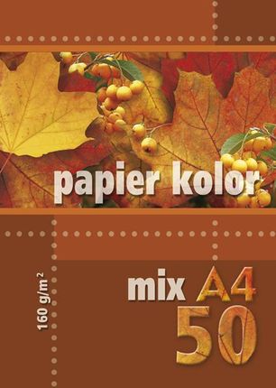Kreska Papier Kolorowy A4 50K 160G Mix Kolorów