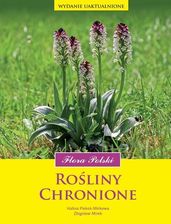 Zdjęcie Rośliny chronione flora polski - Susz