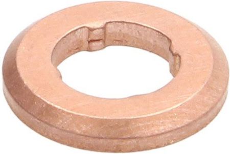 Bosch Pierścień Uszczelniający, Obudowa Wtryskiwacza F 00V P01 009