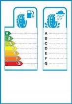 Toyo Proxes R888 325/30R19 101Y