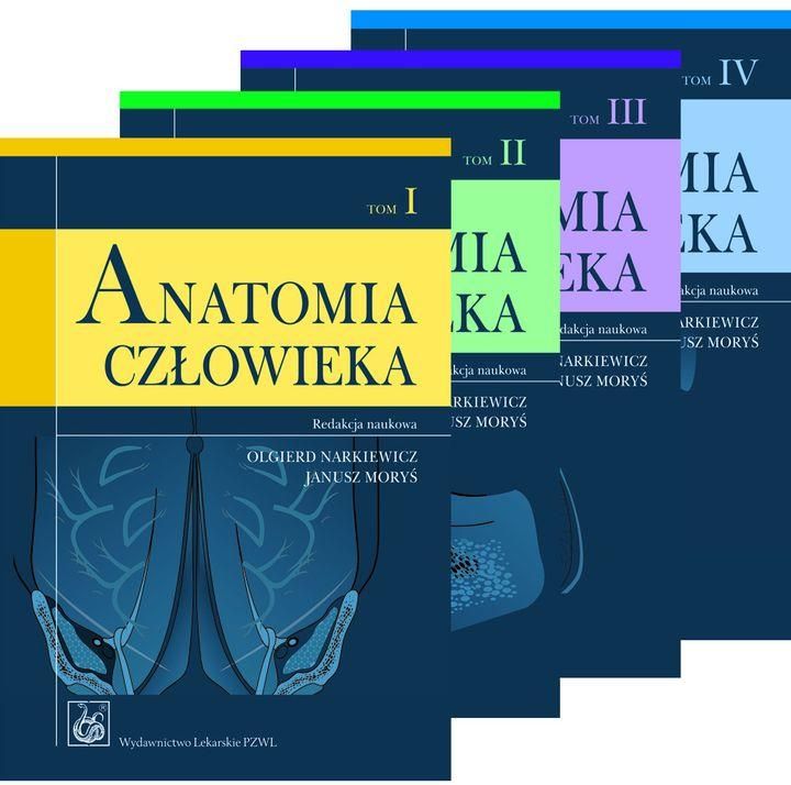 Anatomia człowieka - Podręcznik dla studentów - Narkiewicz [4xKSIĄŻKA