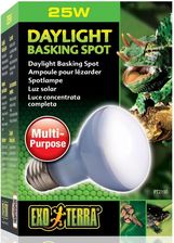 Exoterra Żarówka Day Glo Basking Spot 25W - Ogrzewanie i oświetlenie terrarium