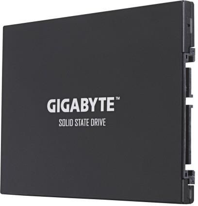 Gigabyte Ud Pro 256Gb (Gp-Gstfs30256Gttd)