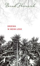 Zdjęcie Drzewa w moim lesie - Jeziorany