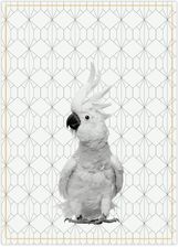 Zdjęcie Pt Living Ścierka Kuchenna Present Time Cockatoo Pt2909 - Żarów
