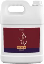 Zdjęcie Over Horse Preparat Na Drogi Oddechowe Oh Bronchi Equus 5L - Człopa