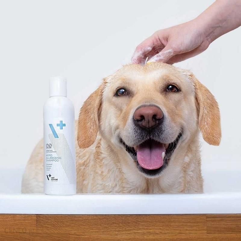 Vet Expert Hypoallergenic Shampoo hipoalergiczny szampon dla psów i kotów 250ml