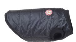 Zdjęcie amiplay Bronx Kurtka puchowa 29cm Yorkshire Terrier czarna - Mysłowice