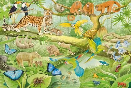 Schmidt Spiele Zwierzęta w dżungli 100el